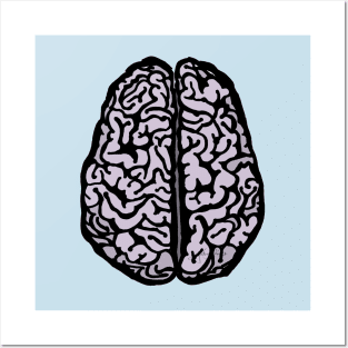 Brain (transparent) Posters and Art